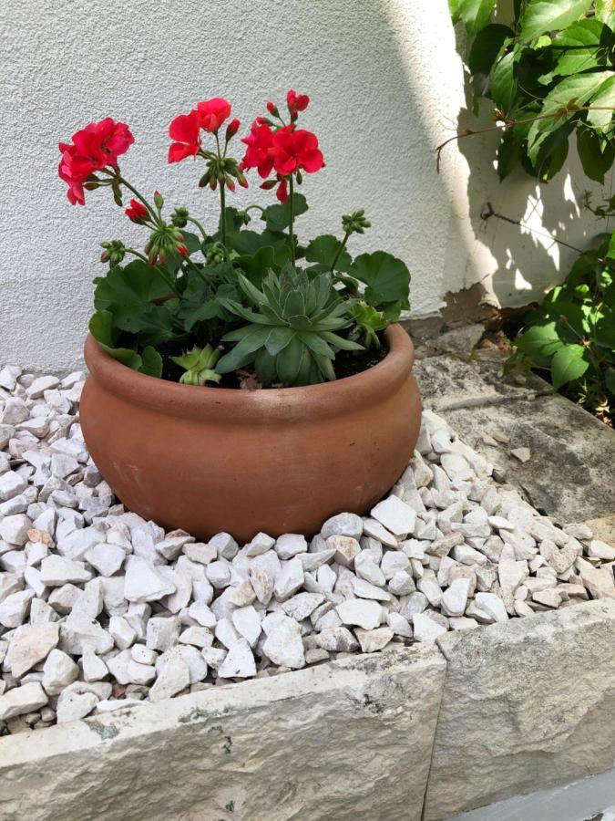 Holiday Home - Apartment Carmen Sevid Ngoại thất bức ảnh